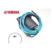 Motor de inclinação Yamaha 64E-43880-02-00