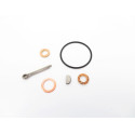 Kit revisão Suzuki DF6A 100h-7