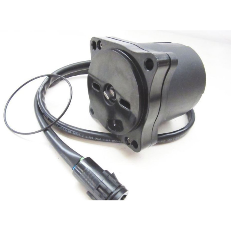 Motor de inclinação Honda 115HP 4 tempos